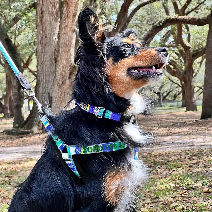 Pawtitas Personalized Dog & Puppy Harness Small Teal/Pink/Purple Custom ID Tag Adjustable No Pull Vest