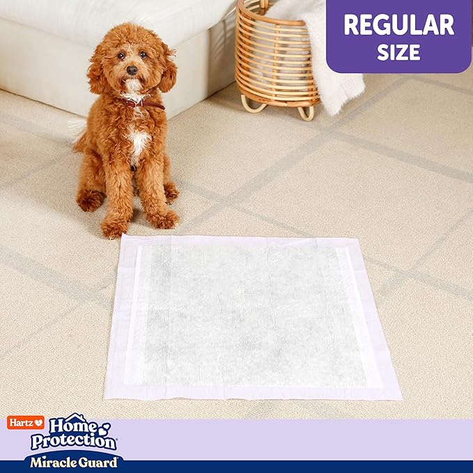 Hartz Home Protection Miracle Guard Lavender Scented Dog Pads, Regular Size 50 Count, 24 Hour Use, Won't Leak and Odor Eliminating
