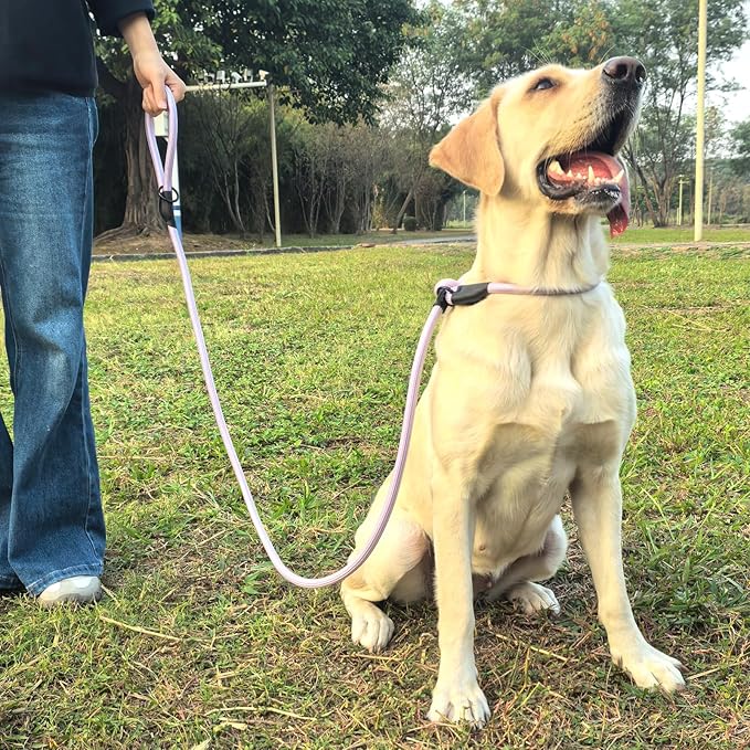 Slip Leash for Dogs, Heavy Duty No Pull Dog Training Leash, 6FT Strong Nylon Rope Slip Leads Control Leashes for Large Medium Dogs (Purple)