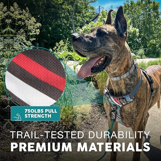 Embark Adventure Dog Harness, No-Pull Reflective Trim Dog Harness for Small, Medium & Large Dogs - Heavy Duty Oxford, 2 Leash Clips & Gel Lined Handle. Soft & Padded Puppy Dog Vest for Any Breed