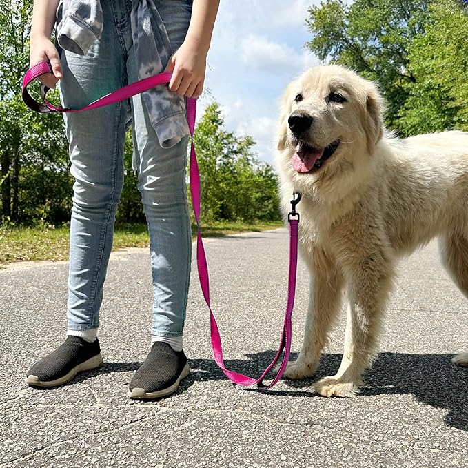 Joytale Dog Leash Heavy Duty for Large Dogs That Pull, Double Handle for Traffic Control, Double-Sided Reflective Leashes for Large Medium Dogs Night Safety, 5FT, Hot Pink