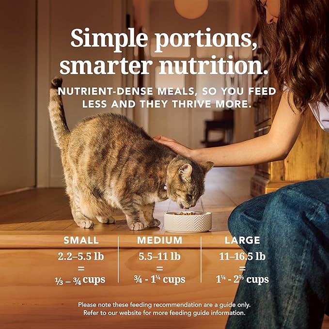 Feline Natural High Protein Dry Cat Food, Freeze-Dried Diet with 98% Meat, Organs & Seafood, No Peas, Grains, or Artificial Additives, Made in New Zealand, Lamb & King Salmon, 3.5oz