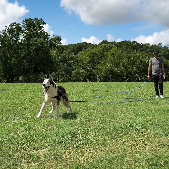 Hi Kiss Dog/Puppy Obedience Recall Training Agility Lead - 15ft 20ft 30ft 50ft 100ft Training Leash - Great for Training, Play, Camping, or Backyard Purple 20 Feet
