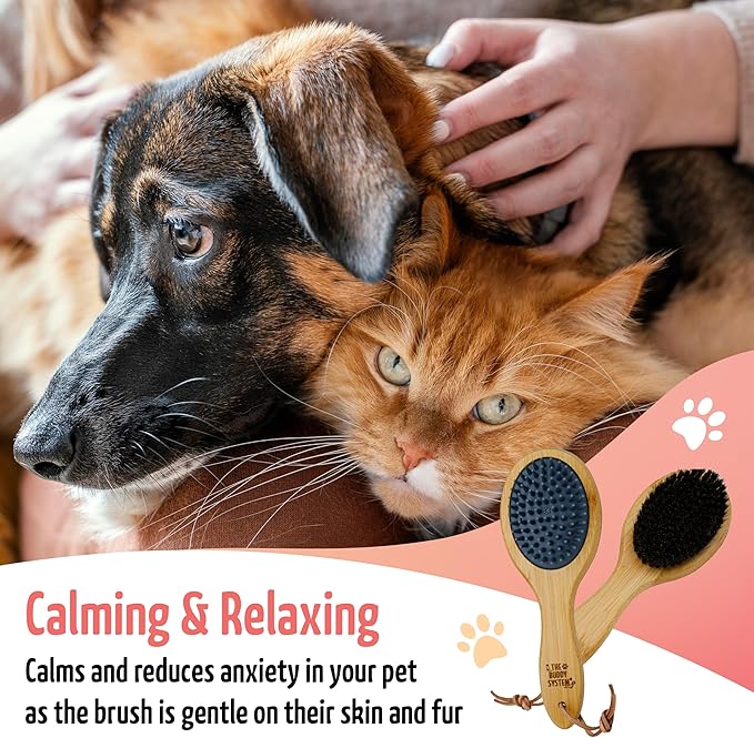 The Buddy System Combo Bristle Pet Brush, 2-in-1 Brush, Durable Rubber Side and Soft Boar Bristle Side - All Pets and Coat Lengths - Top Coat Massage for Cats & Dogs - 1 Pack