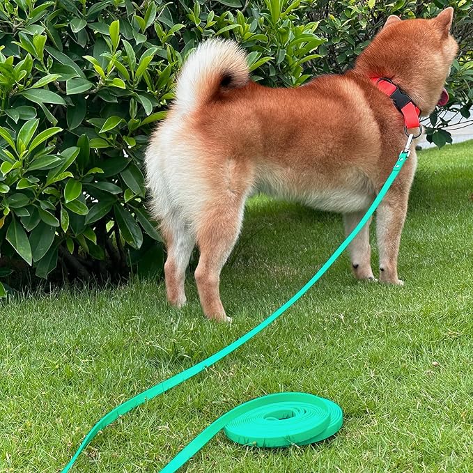 Dog Training Long Leash Waterproof Long Line Heavy Duty Outdoor Recall Lead 10ft 15ft 20ft 30ft 50ft for Small Medium Large Dog (Dark Green, 20FT)