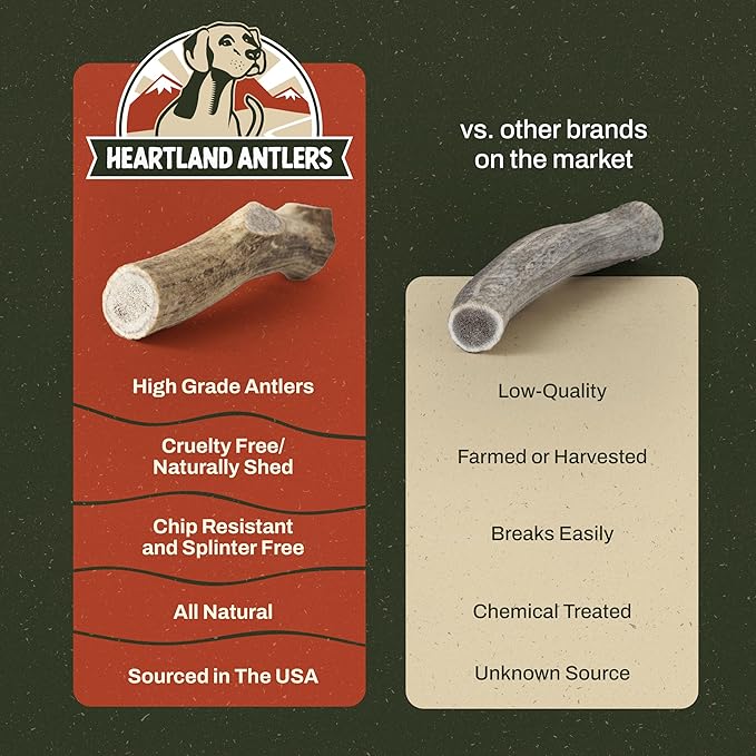 Heartland Elk Antlers for Dogs - Daily Dental Care Chews for Aggressive Chewers to Reduce Plaque & Prevent Destructive Behavior (Splinter Free, Whole, 8+", X-Large, 1-Pack, Grade A, USA Made)