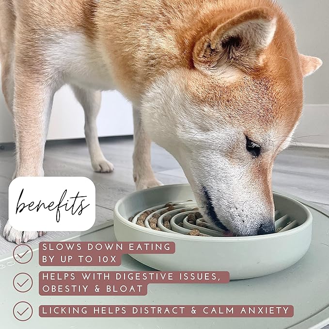 Should We Go? Slow Feeder for Dogs & Puppies, The Slowdown Bowl Silicone Slow Eating, Modern Lick Mat Design, Reduces Gulping, Fits 2 Cups, 7.5” Across x 1.5” Tall, Mealtime Challenge, Medium-Honey