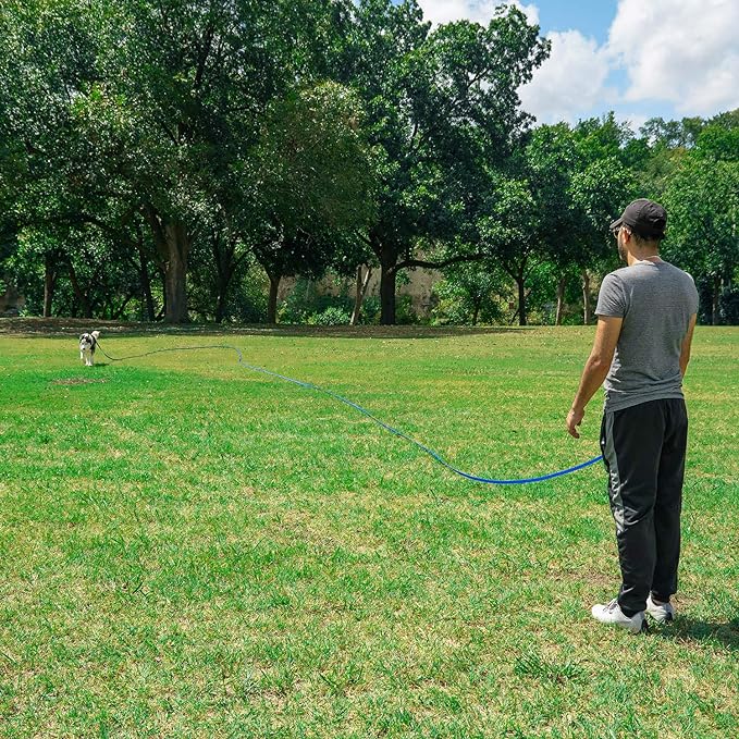Hi Kiss Dog/Puppy Obedience Recall Training Agility Lead - 15ft 20ft 30ft 50ft 100ft Training Leash - Great for Training, Play, Camping, or Backyard - Pink 30ft