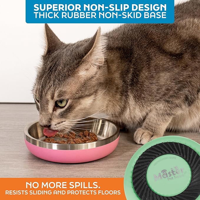 Master Pet Supply Stainless Steel Cat Bowls - 9 oz Heavy Duty - Pistachio, Double Wall Extra-Thick Insulated, Non-Slip Pet Water Bowl for Cats & Pets, Anti Rust Metal, Dishwasher Safe