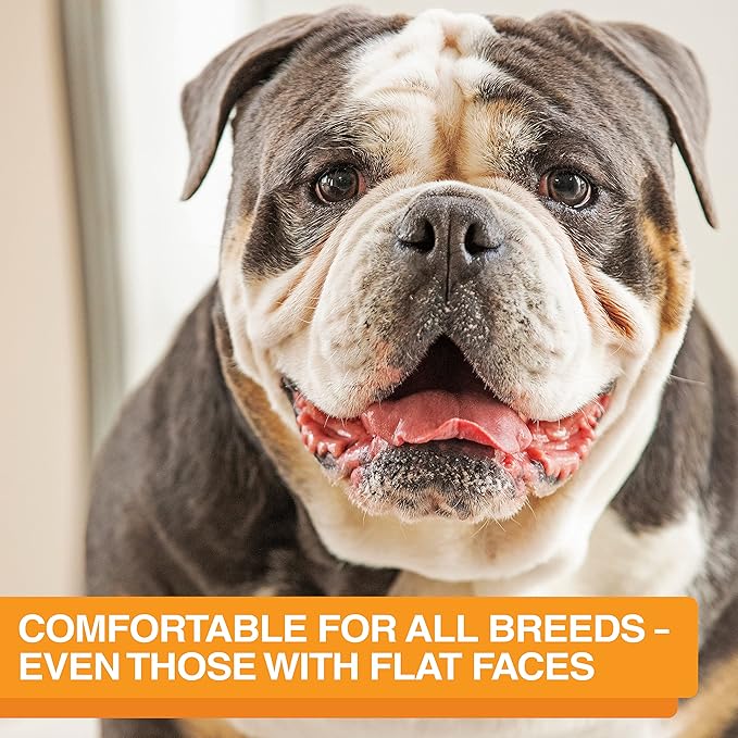 The Niner Slow Feed Bowl - Raised Peaks Slow Down Pets Eating - Fits Elevated Feeders Including Neater Feeder Large Sizes - Gentle on Teeth and Gums - Holds up to 2 Cups (Aquamarine)